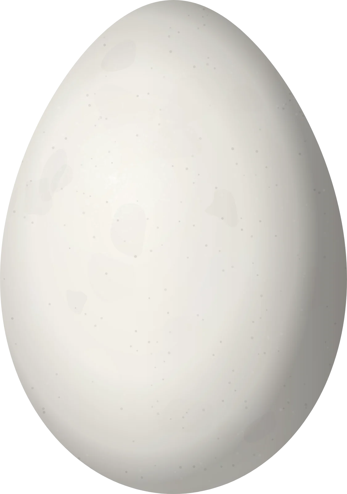 Illustration of a Rufous-lored Tyrannulet (Phylloscartes flaviventris) egg, 18.9 × 13.3 mm