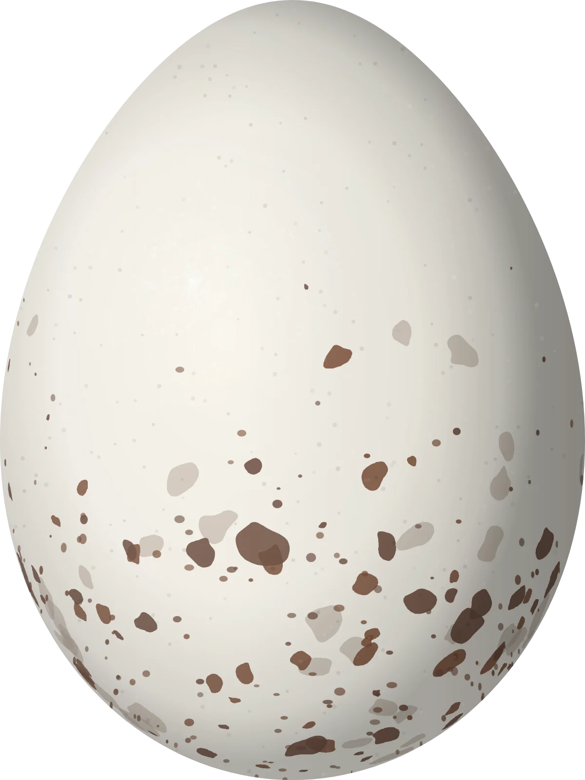 Illustration of a Rufous Mourner (Rhytipterna holerythra) egg, 19.2 × 14.4 mm