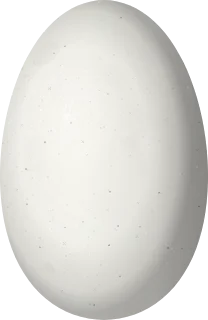 Illustration of a Rufous Sabrewing (Pampa rufa) egg, 15.29 × 9.95 mm