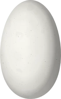 Illustration of a Rufous-shafted Woodstar (Chaetocercus jourdanii) egg, 12.4 × 7.6 mm