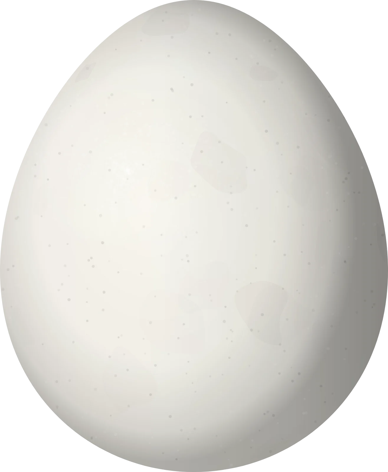 Illustration of a Rufous-tailed Antthrush (Chamaeza ruficauda) egg, 27.5 × 22.6 mm
