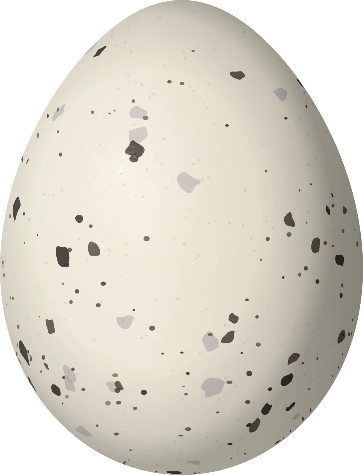 Illustration of a Rufous-tailed Tyrant (Knipolegus poecilurus) egg, 20 × 15.3 mm