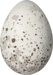 Illustration of a Rufous-throated Tanager (Ixothraupis rufigula) egg, 21.6 × 15.3 mm