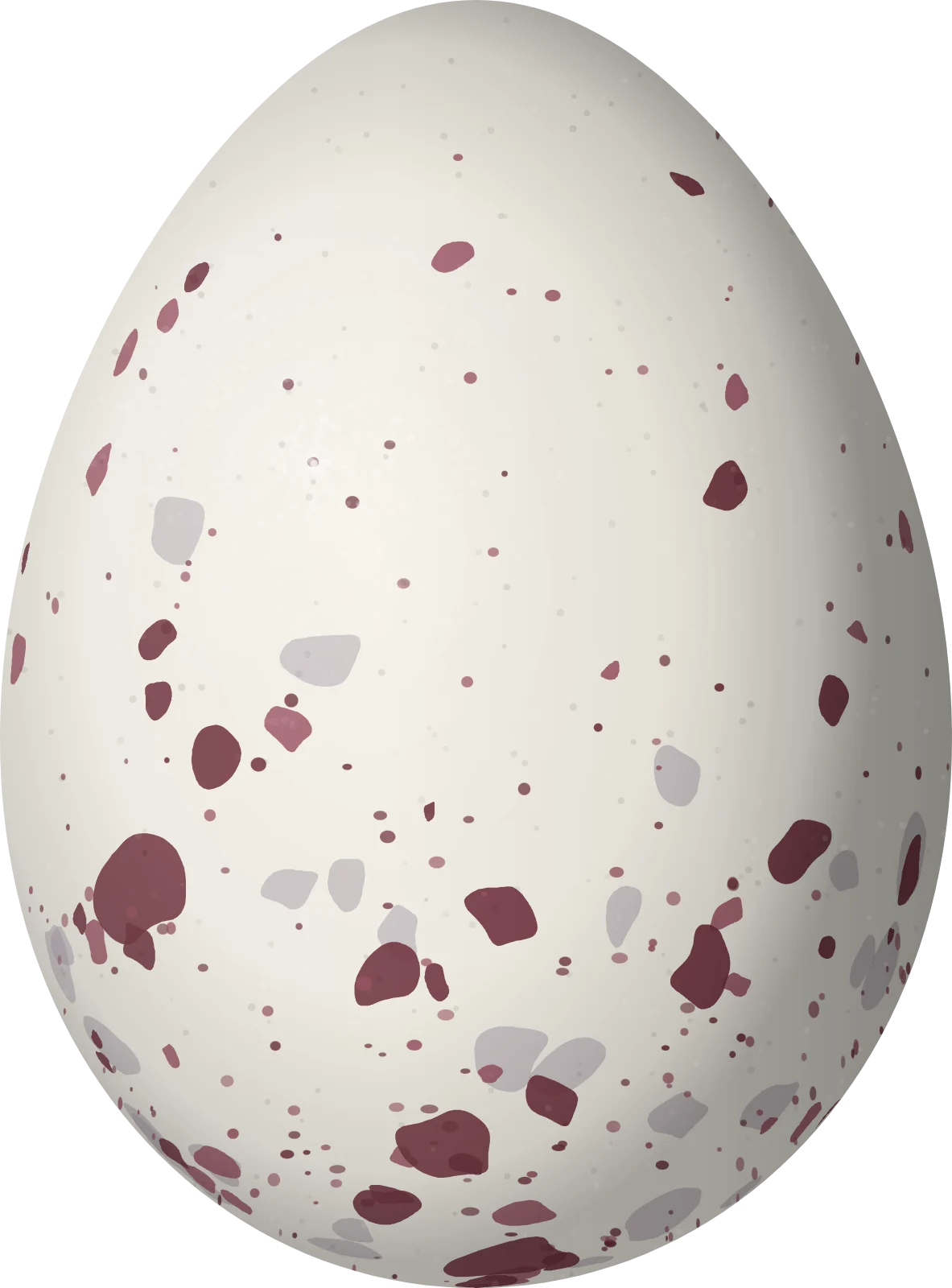 Illustration of a Rufous-winged Antshrike (Thamnophilus torquatus) egg, 23 × 17 mm