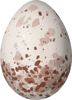 Illustration of a Rufous Wren (Cinnycerthia unirufa) egg, 18 × 13 mm