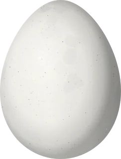 Illustration of a Russet-bellied Spinetail (Synallaxis zimmeri) egg, 20.3 × 15.4 mm
