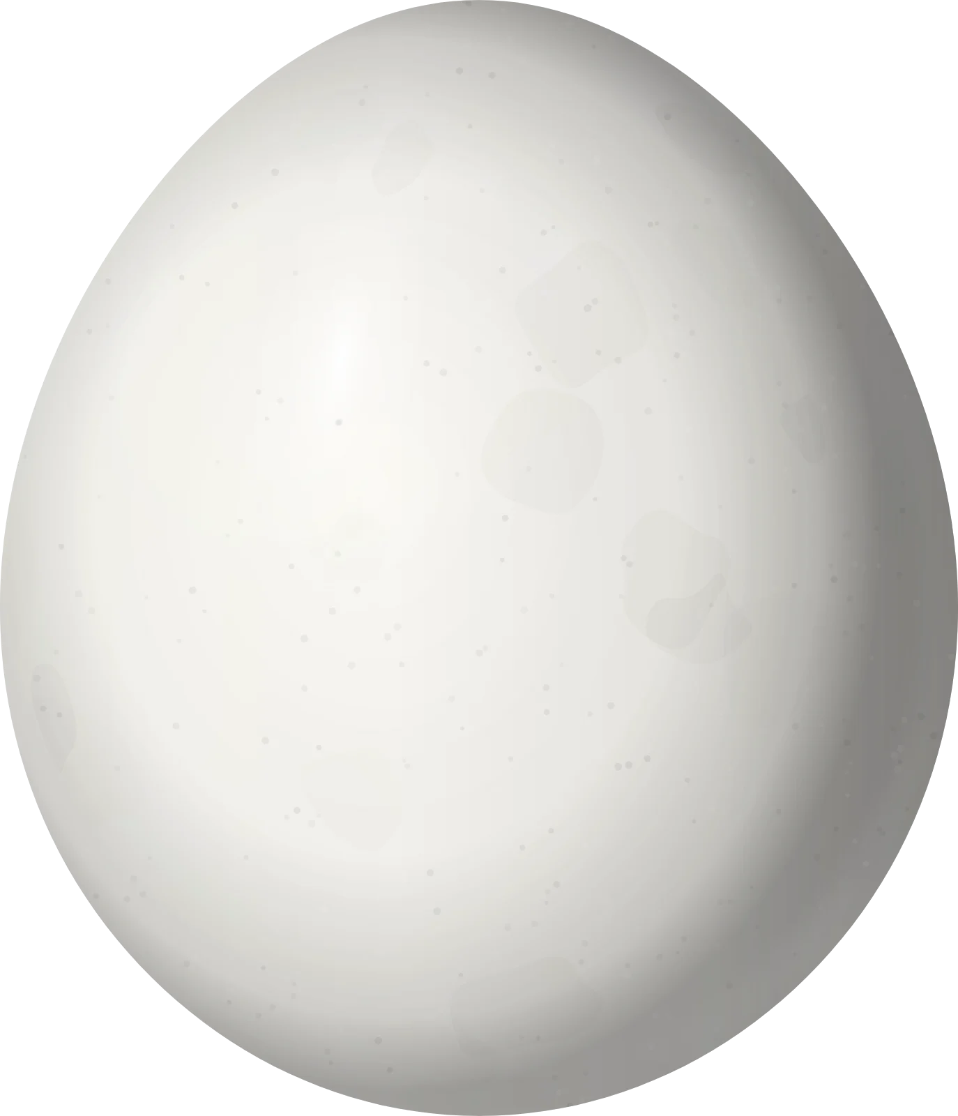 Illustration of a Russet-crowned Motmot (Momotus mexicanus) egg, 27.6 × 23.7 mm