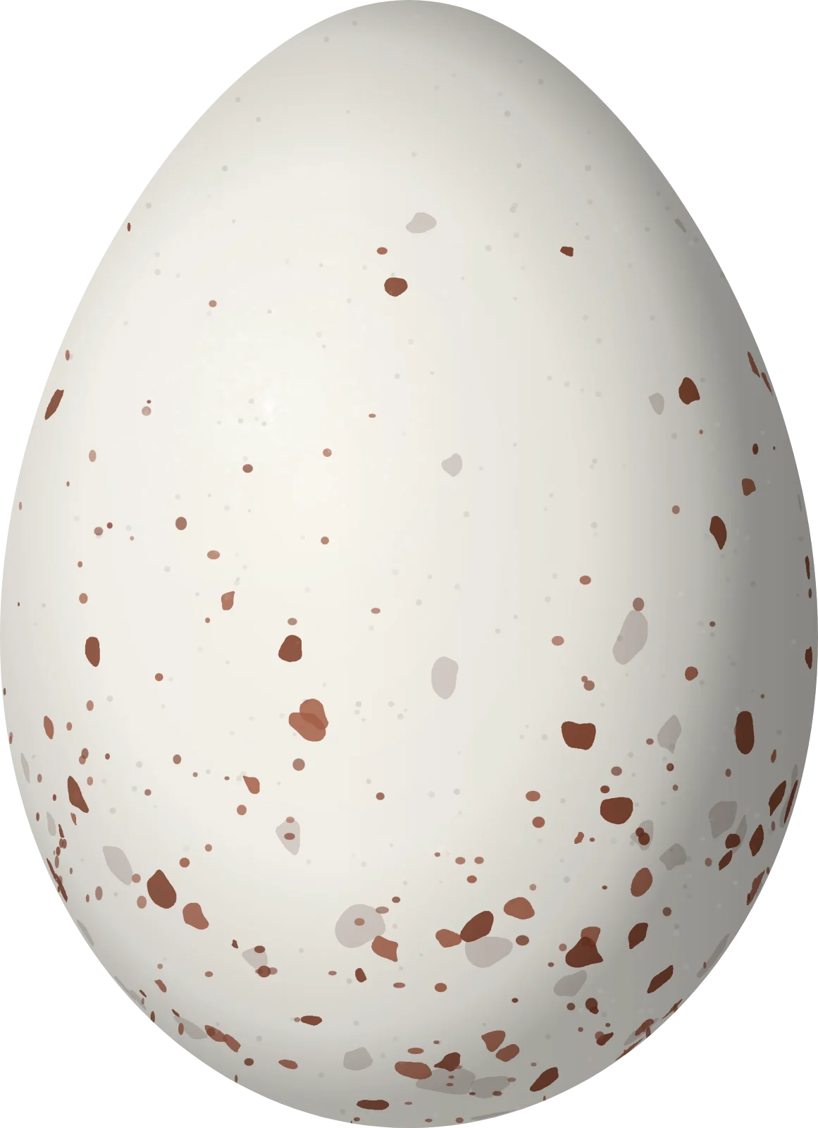 Illustration of a Rusty-backed Monjita (Neoxolmis rubetra) egg, 23.7 × 17.2 mm