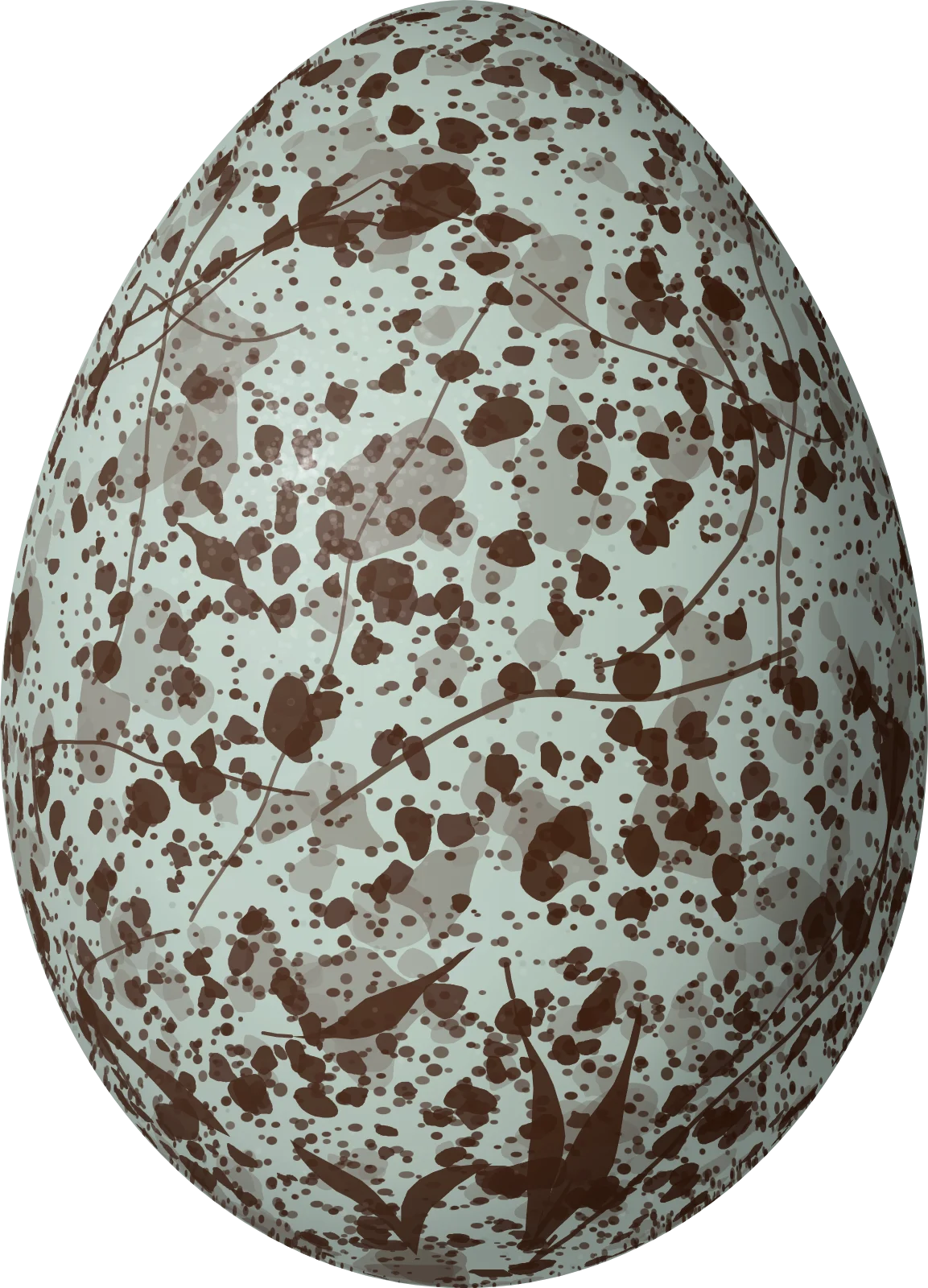 Illustration of a Rusty Blackbird (Euphagus carolinus) egg, 25.8 × 18.6 mm