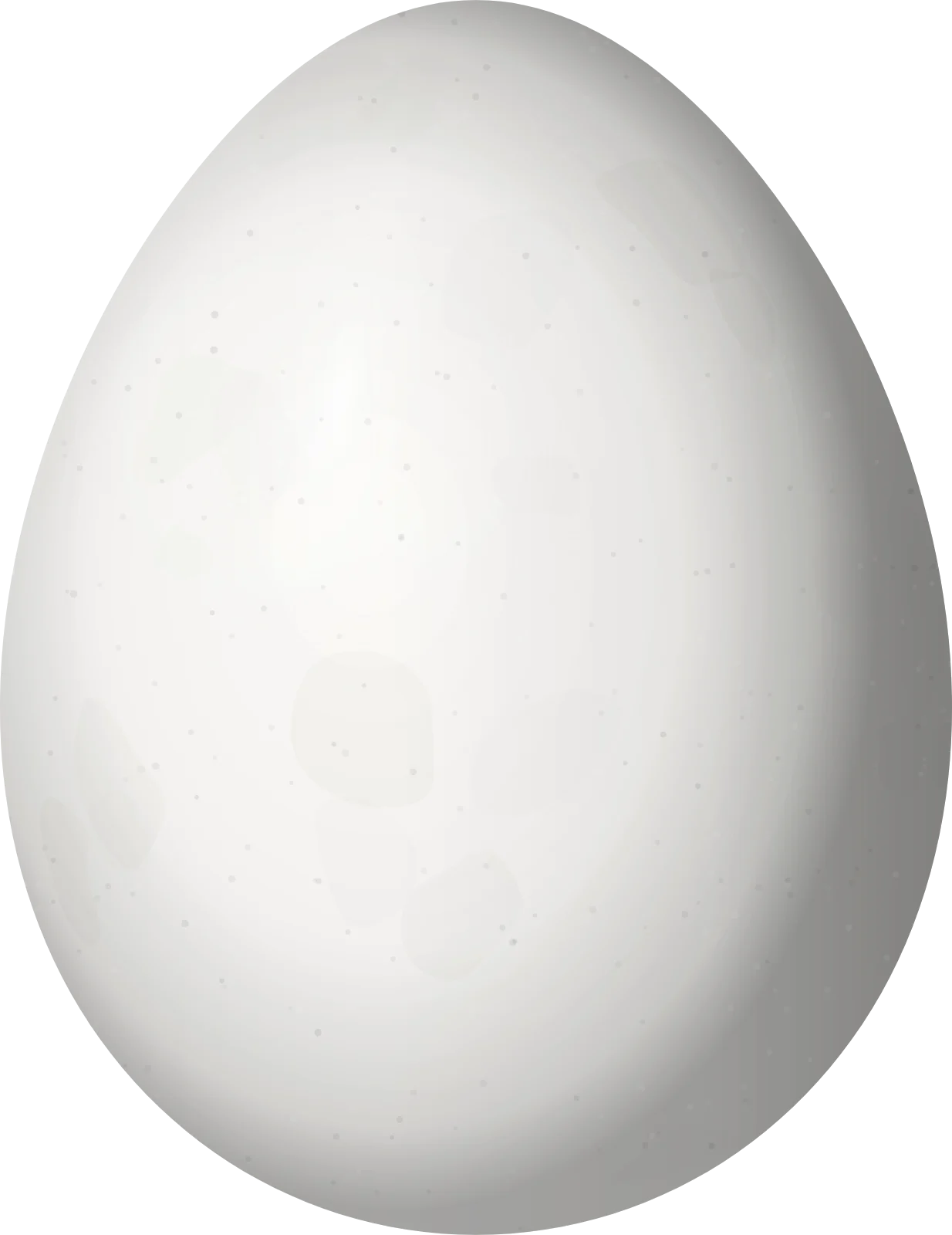 Illustration of a Rusty-crowned Tit-Spinetail (Leptasthenura pileata) egg, 17.5 × 13.5 mm