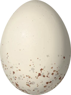 Illustration of a Rusty-flanked Crake (Laterallus levraudi) egg, 29.2 × 21.8 mm