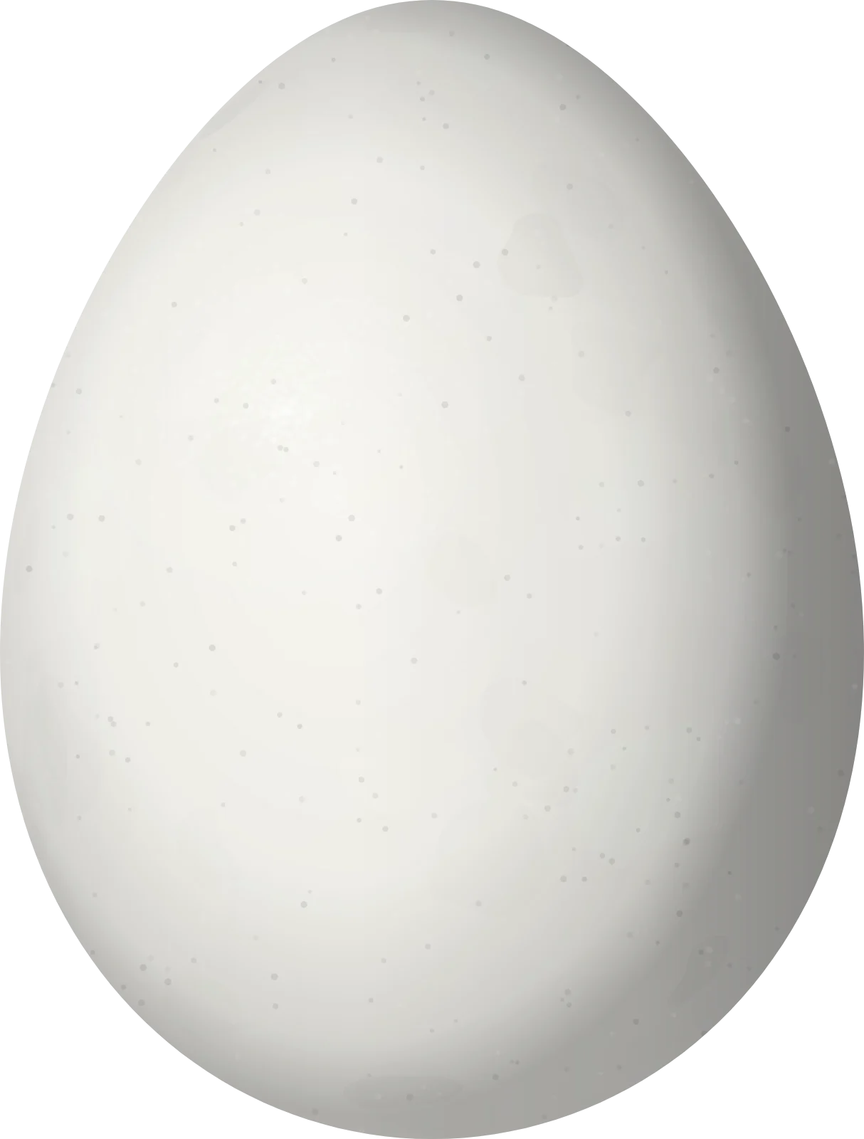 Illustration of a Rusty-headed Spinetail (Synallaxis fuscorufa) egg, 20.3 × 15.4 mm