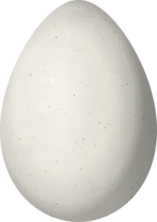 Illustration of a Rusty-margined Guan (Penelope superciliaris) egg, 63.7 × 44.9 mm