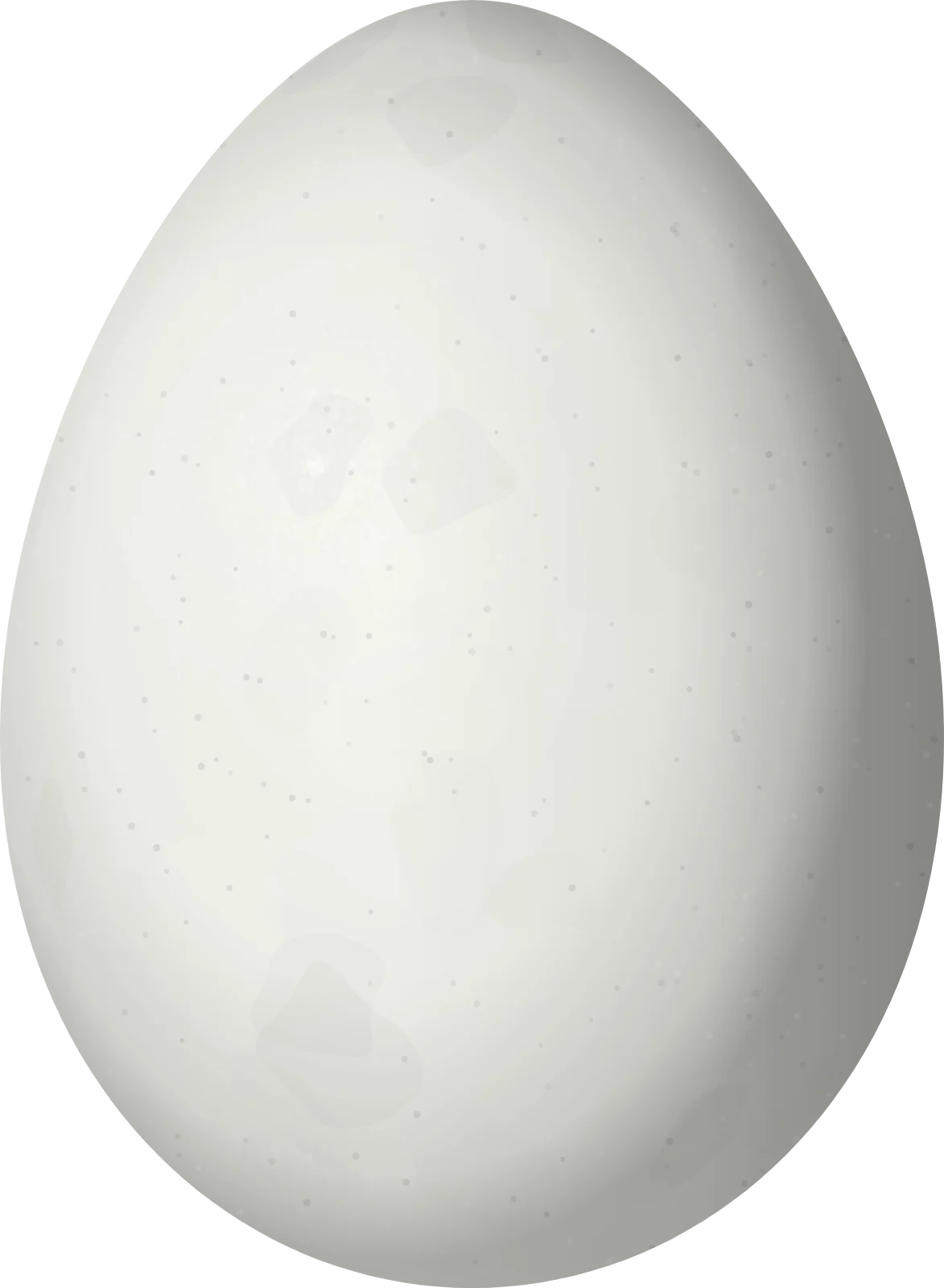 Illustration of a Rusty-vented Canastero (Asthenes dorbignyi) egg, 22.5 × 16.5 mm