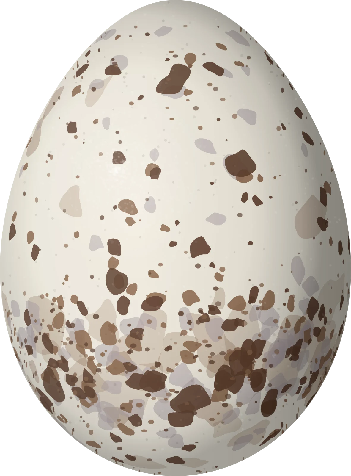 Illustration of a Saffron-crowned Tanager (Tangara xanthocephala) egg, 20.6 × 15.2 mm