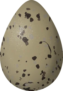 Sanderling egg, 35.7 × 24.7 mm