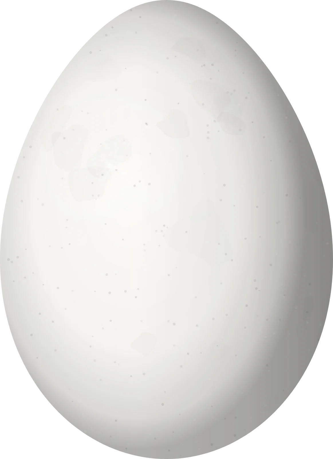 Illustration of a Santa Marta Brushfinch (Atlapetes melanocephalus) egg, 23.8 × 17.3 mm