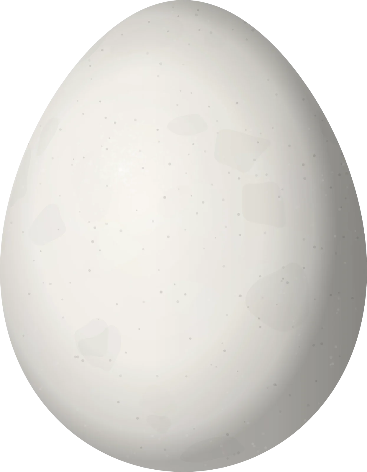 Illustration of a Santa Marta Tapaculo (Scytalopus sanctaemartae) egg, 22.9 × 17.8 mm