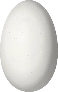 Illustration of a Santa Marta Woodstar (Chaetocercus astreans) egg, 12.4 × 7.8 mm