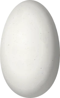 Illustration of a Sapphire-vented Puffleg (Eriocnemis luciani) egg, 13 × 8 mm