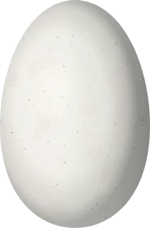 Illustration of a Saw-billed Hermit (Ramphodon naevius) egg, 13.5 × 8.9 mm