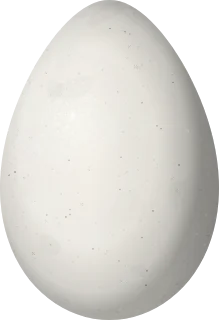 Illustration of a Scaled Chachalaca (Ortalis squamata) egg, 59.8 × 40.9 mm