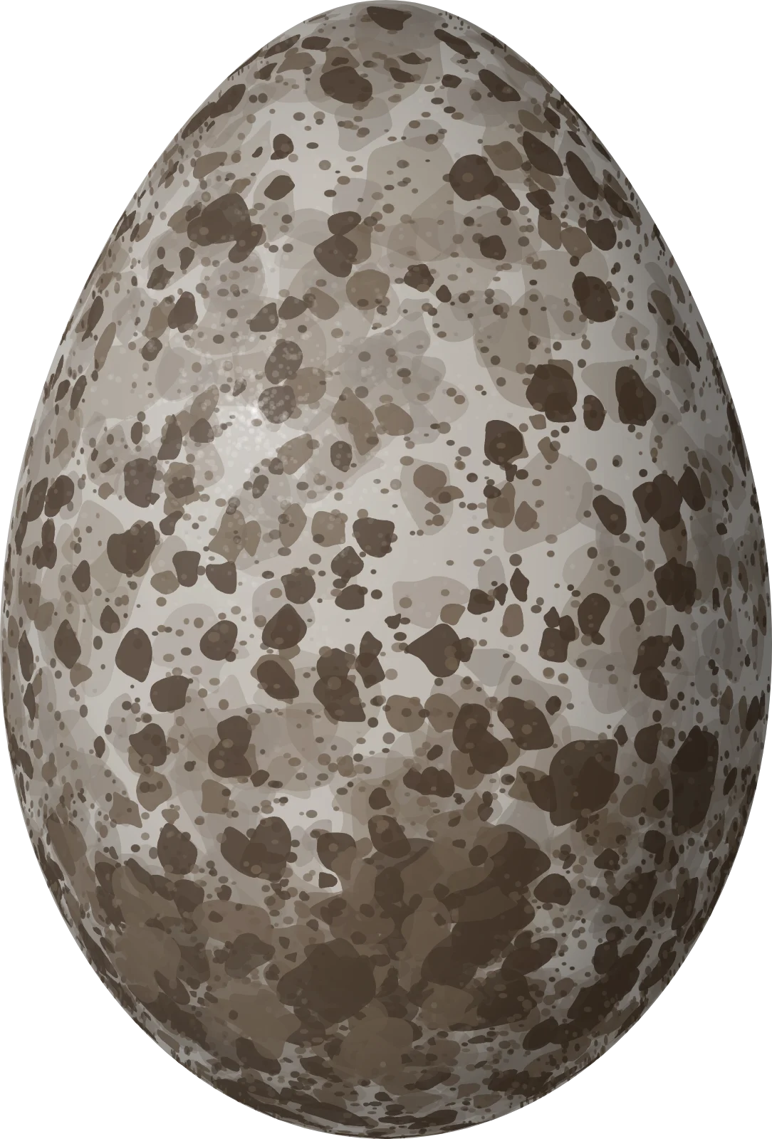 Illustration of a Scaled Fruiteater (Ampelioides tschudii) egg, 31 × 21 mm