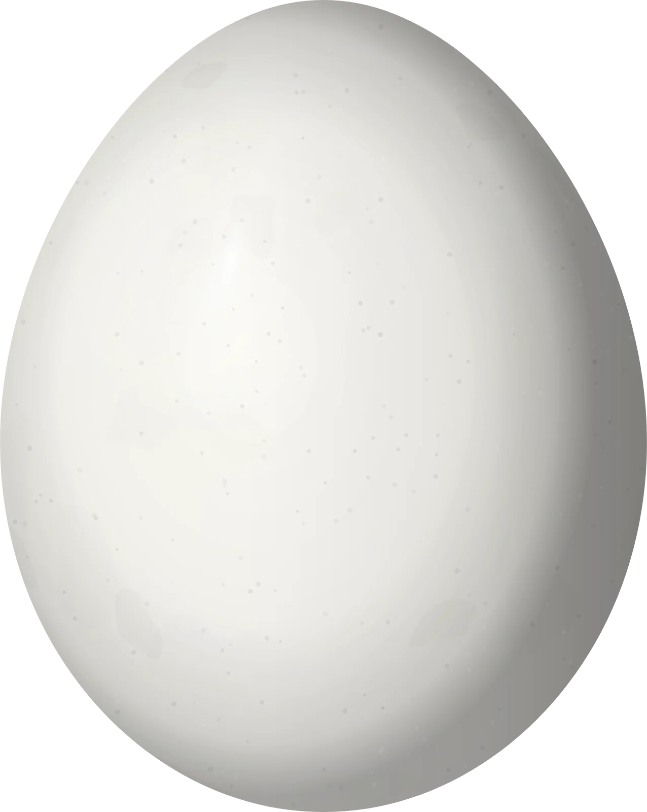Illustration of a Scaled Piculet (Picumnus squamulatus) egg, 15.3 × 12.2 mm