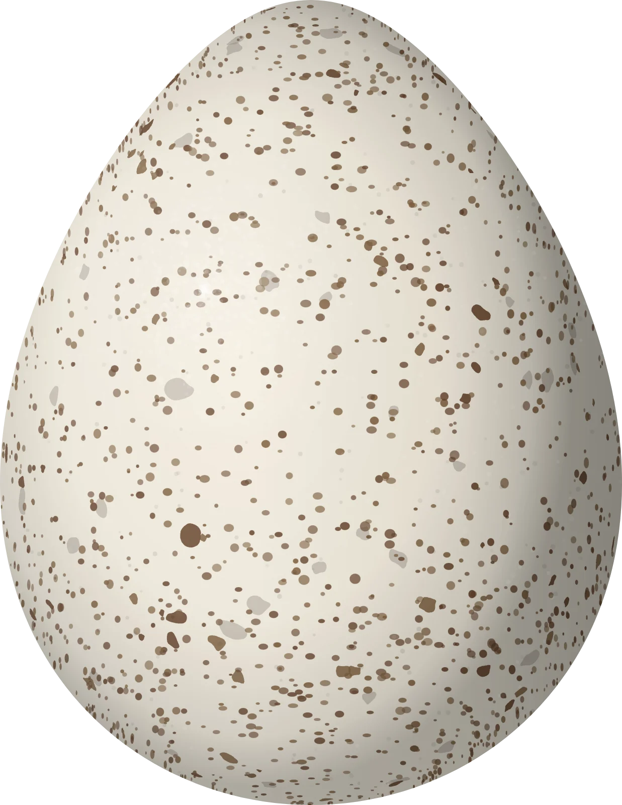 Illustration of a Scaled Quail (Callipepla squamata) egg, 32.6 × 25.2 mm
