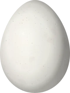 Illustration of a Scalloped Woodcreeper (Lepidocolaptes falcinellus) egg, 25.3 × 19 mm