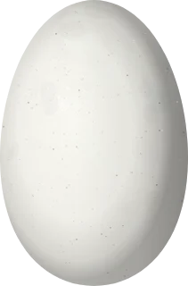 Illustration of a Scaly-breasted Hummingbird (Phaeochroa cuvierii) egg, 13.5 × 8.9 mm