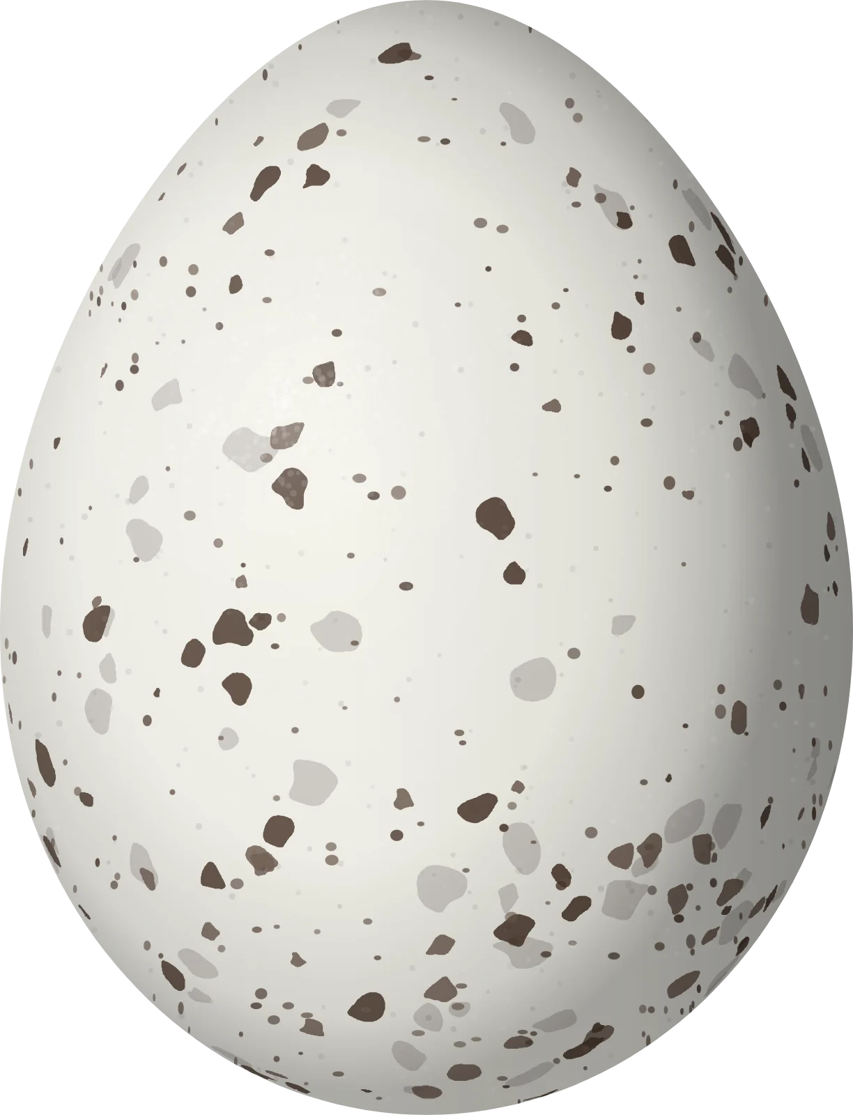 Illustration of a Scarlet-thighed Dacnis (Dacnis venusta) egg, 17 × 13 mm