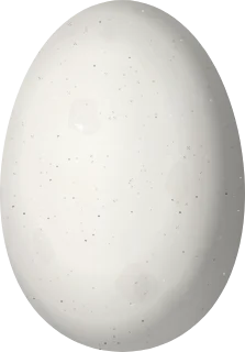 Illustration of a Scintillant Hummingbird (Selasphorus scintilla) egg, 10.9 × 7.6 mm