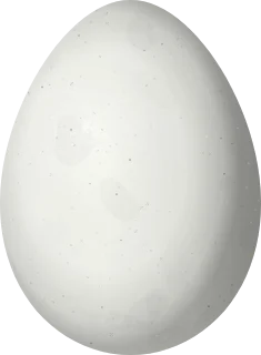Illustration of a Scribble-tailed Canastero (Asthenes maculicauda) egg, 22.5 × 16.5 mm