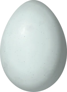 Illustration of a Scrub Euphonia (Euphonia affinis) egg, 17.9 × 13.1 mm