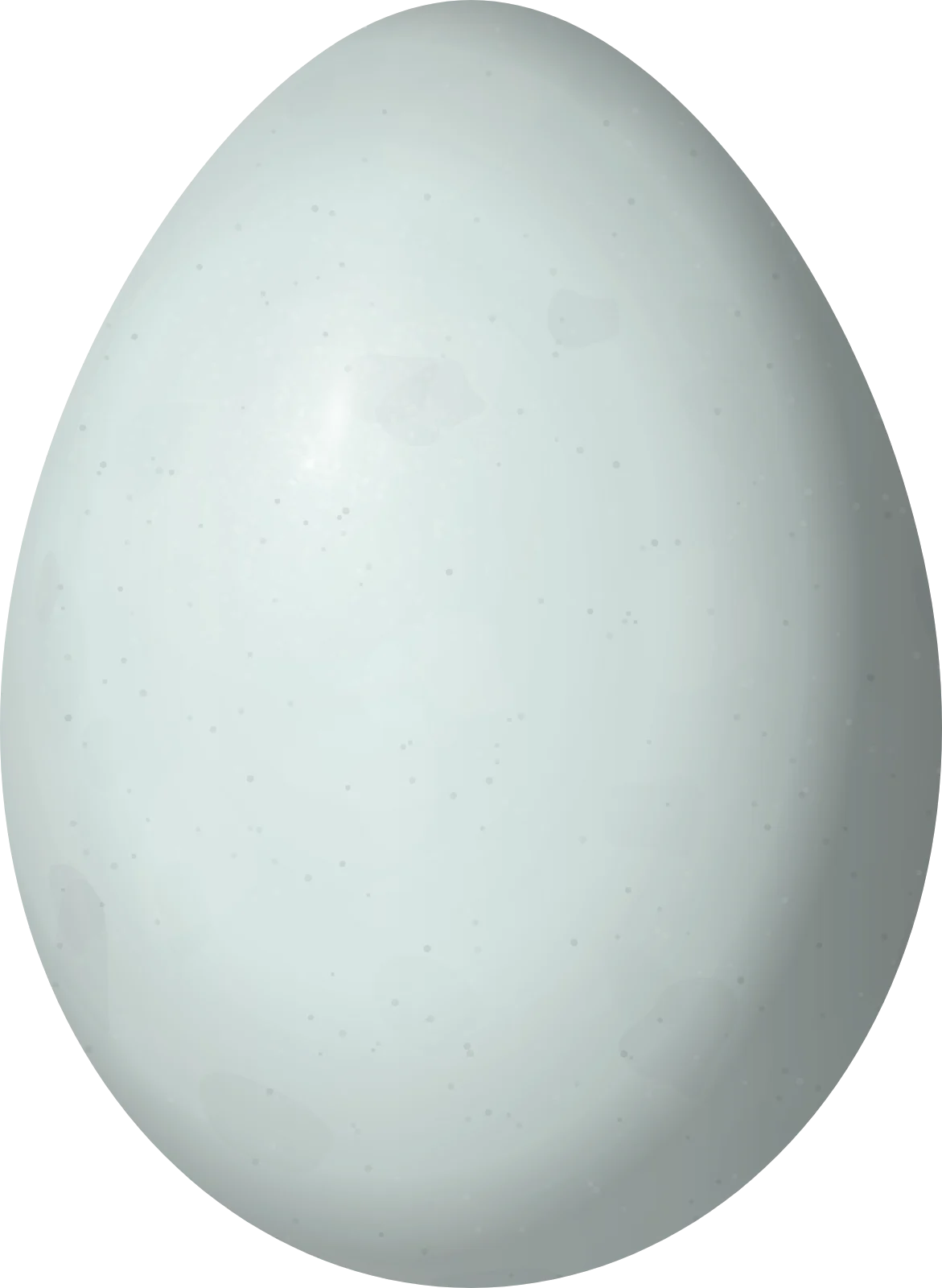 Illustration of a Scrub Euphonia (Euphonia affinis) egg, 17.9 × 13.1 mm