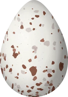 Semipalmated Sandpiper egg, 30.2 × 21.2 mm