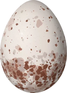 Illustration of a Sepia-brown Wren (Cinnycerthia olivascens) egg, 18 × 13 mm