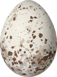 Illustration of a Seven-colored Tanager (Tangara fastuosa) egg, 20.6 × 15.2 mm