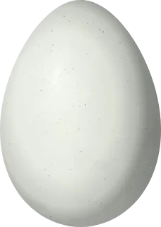 Illustration of a Sharp-billed Canastero (Asthenes pyrrholeuca) egg, 21.15 × 15.1 mm