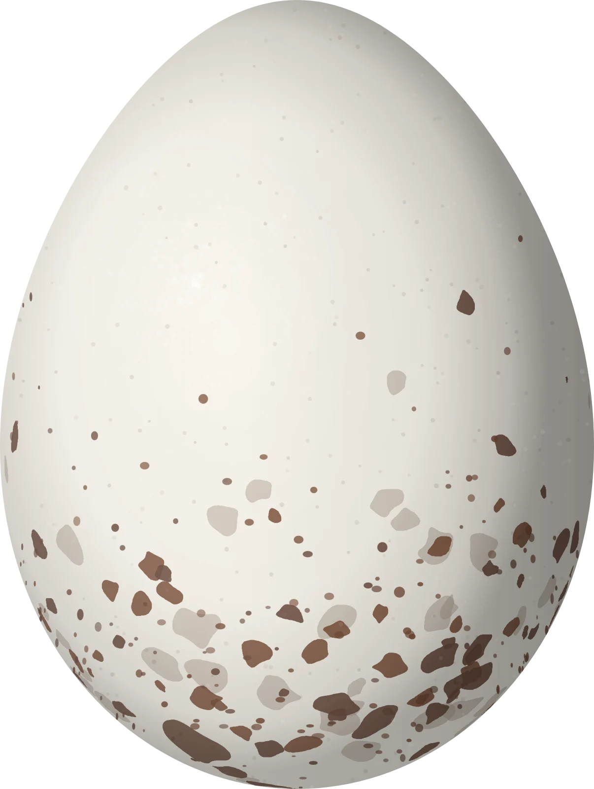 Illustration of a Sharpbill (Oxyruncus cristatus) egg, 19.1 × 14.4 mm