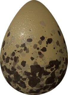 Short-billed Dowitcher egg, 40.8 × 29.2 mm