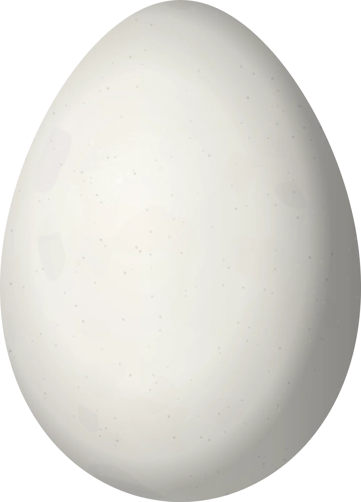 Illustration of a Short-billed Miner (Geositta antarctica) egg, 24.8 × 17.85 mm