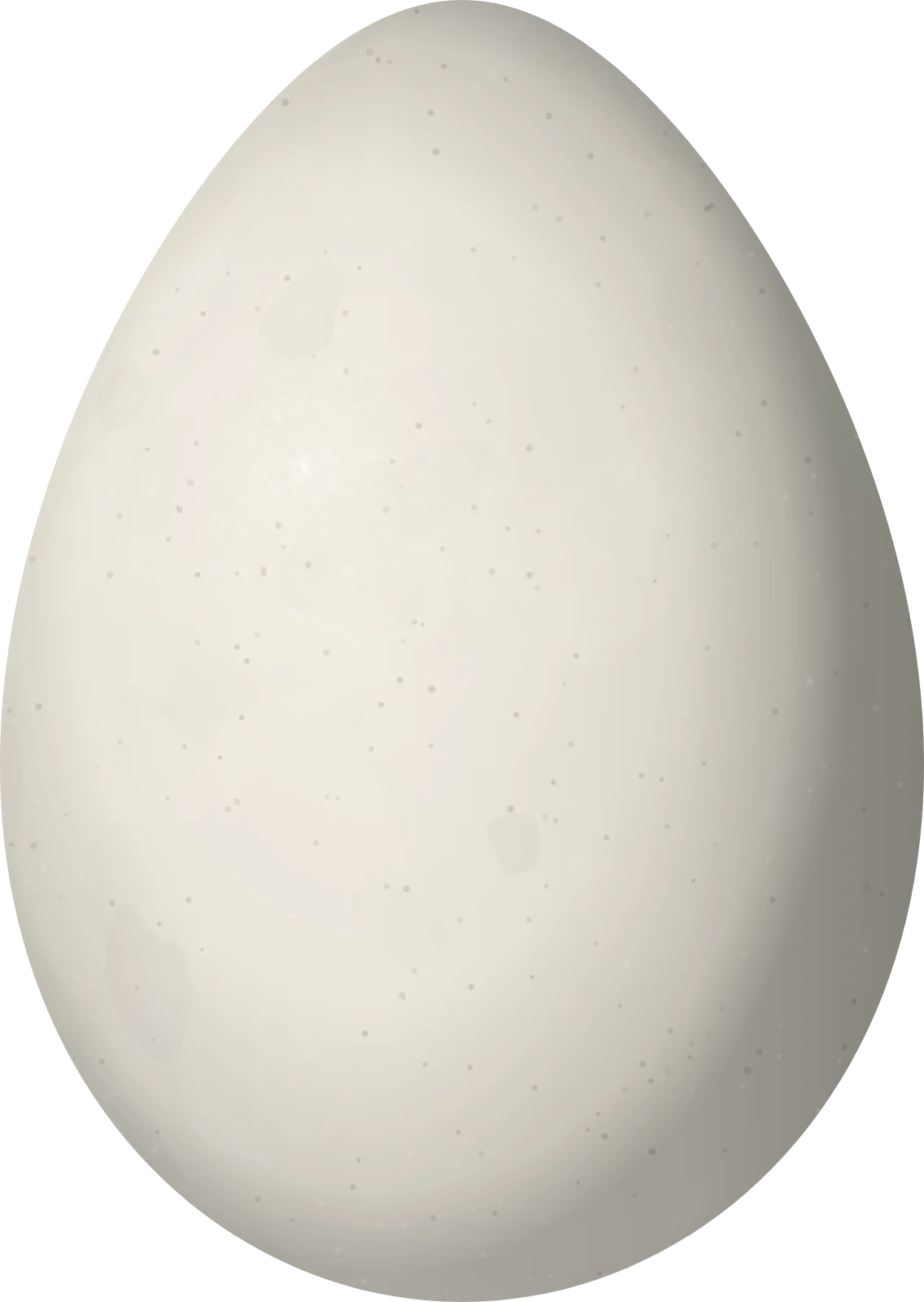Illustration of a Sickle-winged Guan (Chamaepetes goudotii) egg, 72 × 51.1 mm
