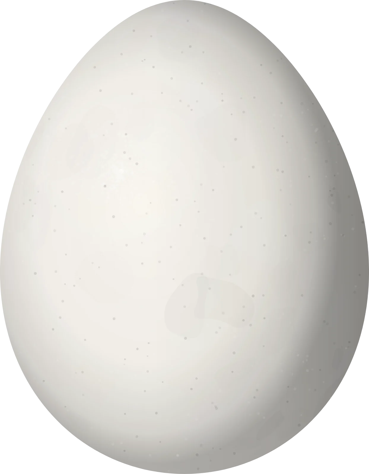 Illustration of a Silvery-fronted Tapaculo (Scytalopus argentifrons) egg, 22.9 × 17.8 mm