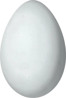 Illustration of a Sinaloa Wren (Thryophilus sinaloa) egg, 20 × 13.5 mm