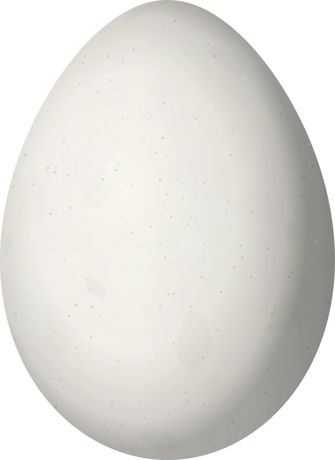 Illustration of a Slaty-capped Flycatcher (Leptopogon superciliaris) egg, 19.43 × 14.15 mm