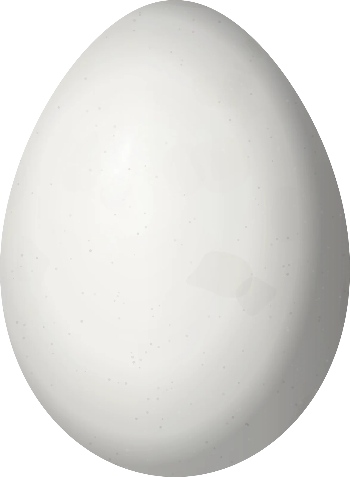 Illustration of a Slaty Finch (Haplospiza rustica) egg, 19.9 × 14.6 mm