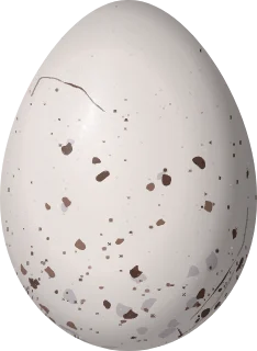 Illustration of a Slender-billed Finch (Xenospingus concolor) egg, 20.5 × 15 mm