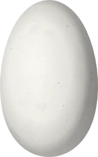Illustration of a Slender Sheartail (Doricha enicura) egg, 12.2 × 7.6 mm